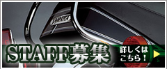 STAFF�罸